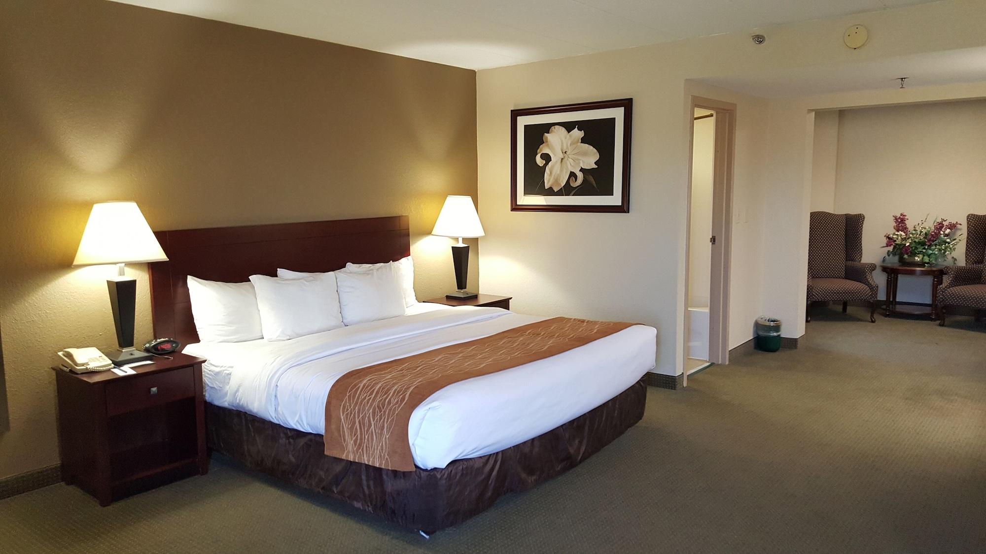 Comfort Inn Northeast Mason Exterior photo